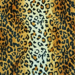 Pelo leopardo