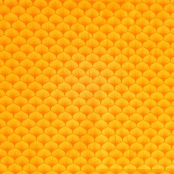 Algodón estampado Petalo naranja