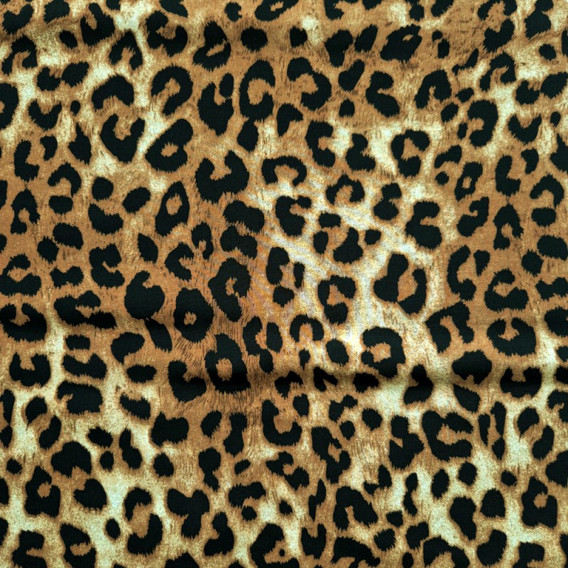 Leopardo