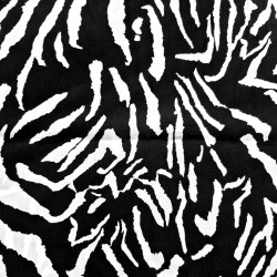 Zebra  negra