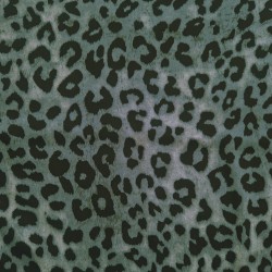 Leopardo gris