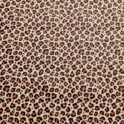 Leopardo