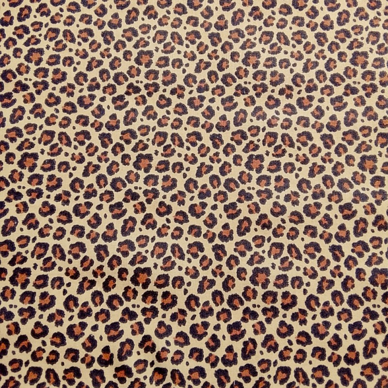 Leopardo