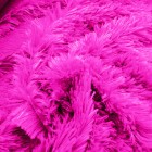 Fucshia