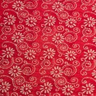 Delhi rojo
