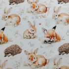 Algodón estampado Infantil