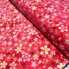 Sakura fucsia